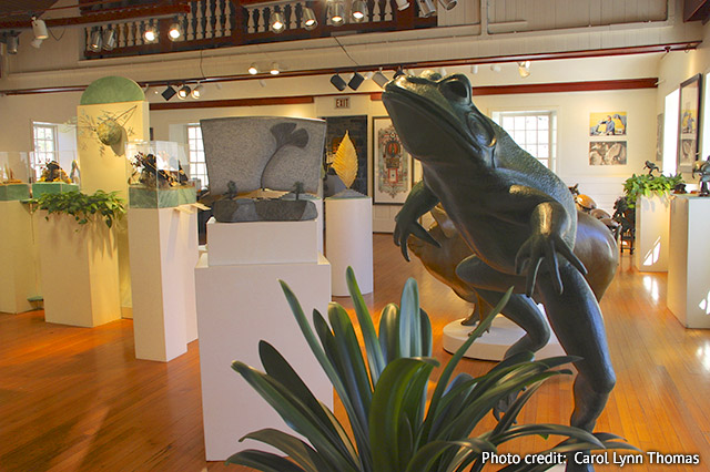 Gallery Photo